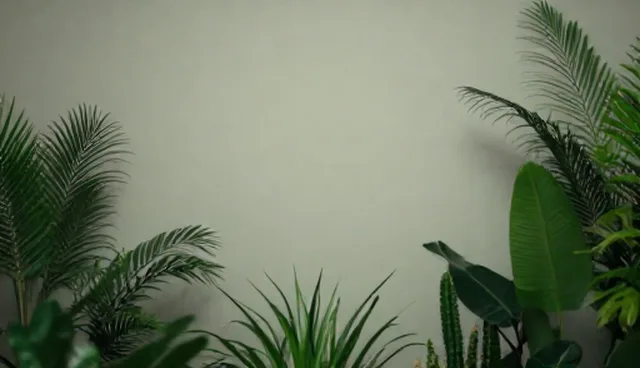 宣传片制作如何影响应用场景分析